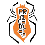 Logo PR Ricamarte